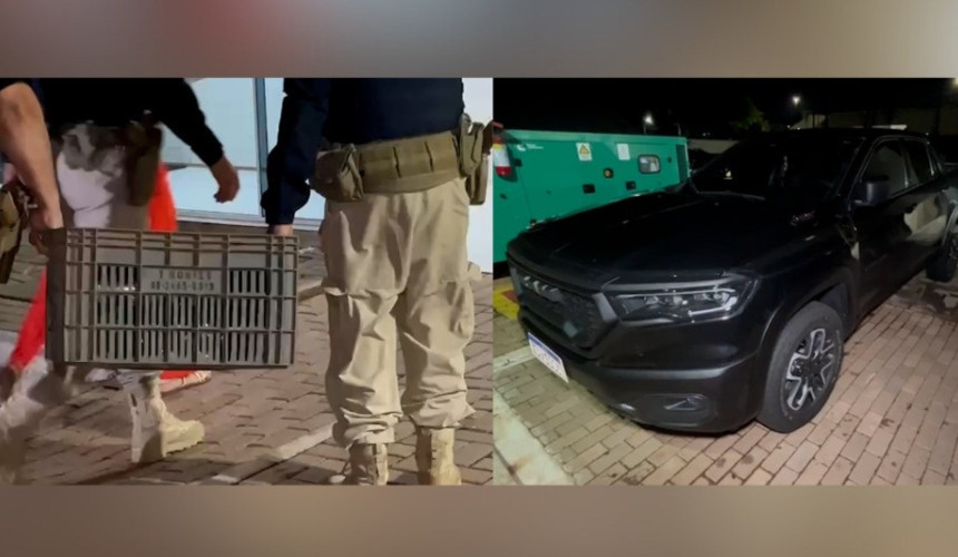 RAM do pó: mulher é detida em caminhonete com mais de R$ 2 milhões em cocaína em Cascavel