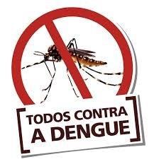 Cinco mortes por dengue em uma semana no estado. Em Capitão 84 casos ate agora 