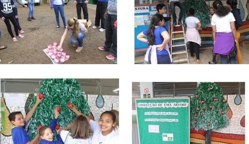 Meio Ambiente: Colégio Carlos Argemiro Camargo de Capitão realiza projeto para conscientização dos alunos