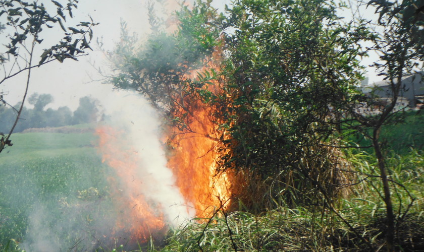 Incêndio ambiental nas margens da BR 163 em Santa Lúcia