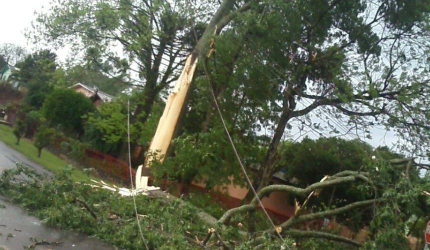 Ventos fortes derrubam árvores e destelham casas em Pato Branco