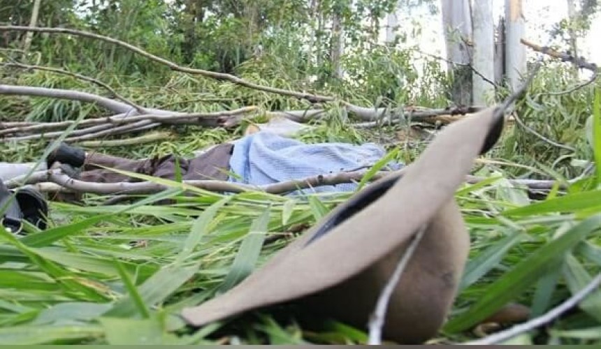 Homem morre após ser atingido por galho de árvore em Quedas do Iguaçu.