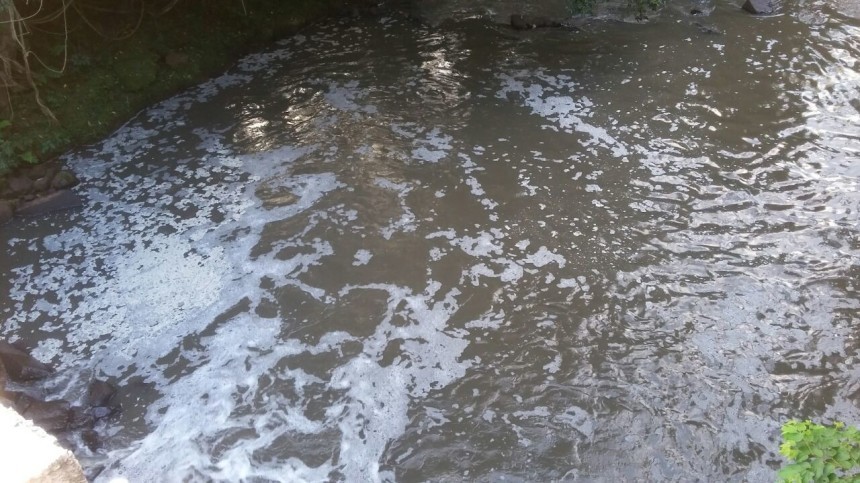 Produto é jogado no Rio Monteiro que amanhece com vários peixes mortos