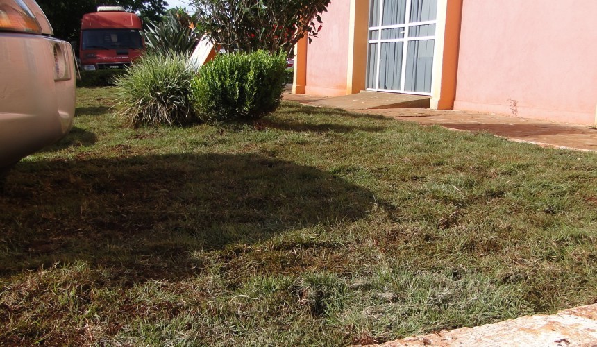 Canteiros e jardins da prefeitura de Boa Vista da Aparecida começam a receber melhorias