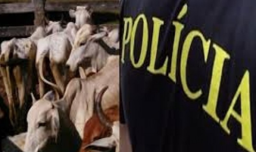 Furto de gado em Nova Prata do Iguaçu