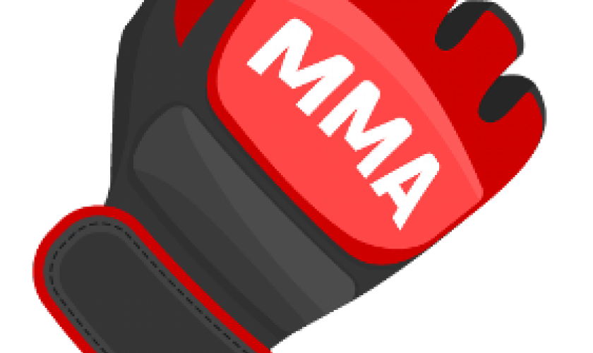 Torneio de MMA acontece em Capitão no próximo domingo