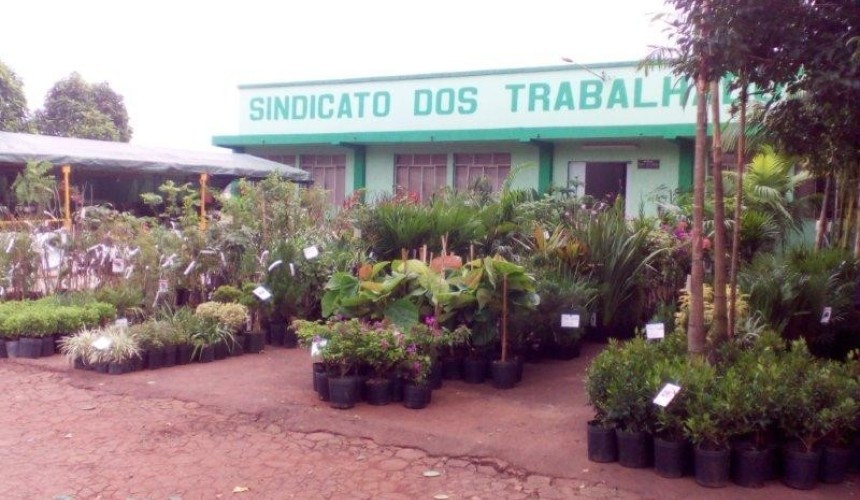 Sindicato dos Trabalhadores Rurais de Capitão promoverá a 16ª feira de mudas ornamentais e frutíferas