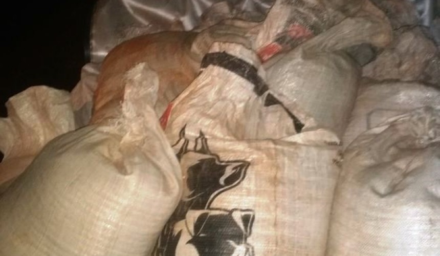 Furtadas 38,5 sacas de soja da Coopavel em Capitão