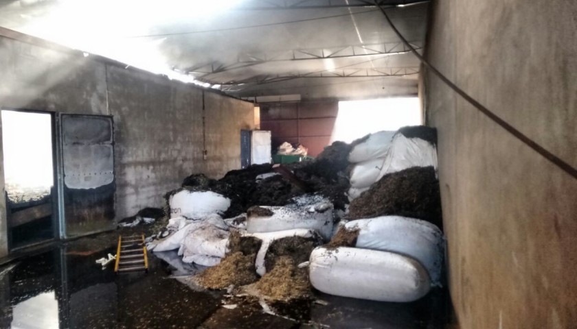 Barracão de chá pega fogo e fica completamente destruído no interior de Capitão