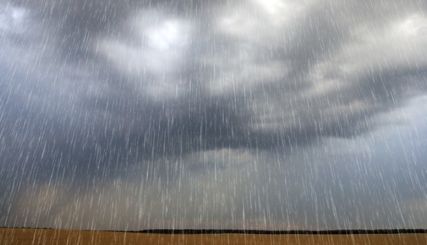 Depois de 60 dias de estiagem “vida volta” ao campo após chuva registrada em Boa Vista