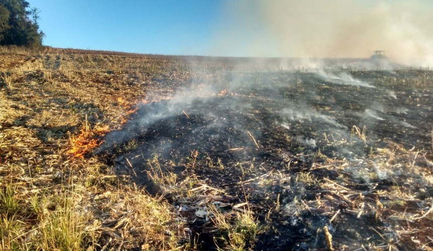 Um incêndio foi combatido em Santa Lúcia. Autor é preso