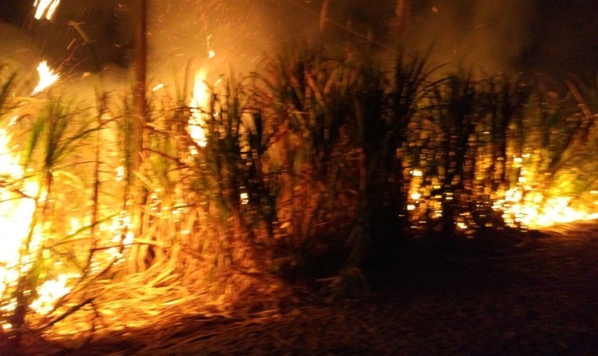 Incêndio criminoso em canavial no Distrito do Alto Alegre