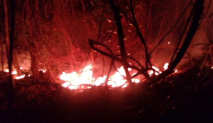 Bombeiros de Capitão tem bastante trabalho para  controlar incêndio usando bomba costal