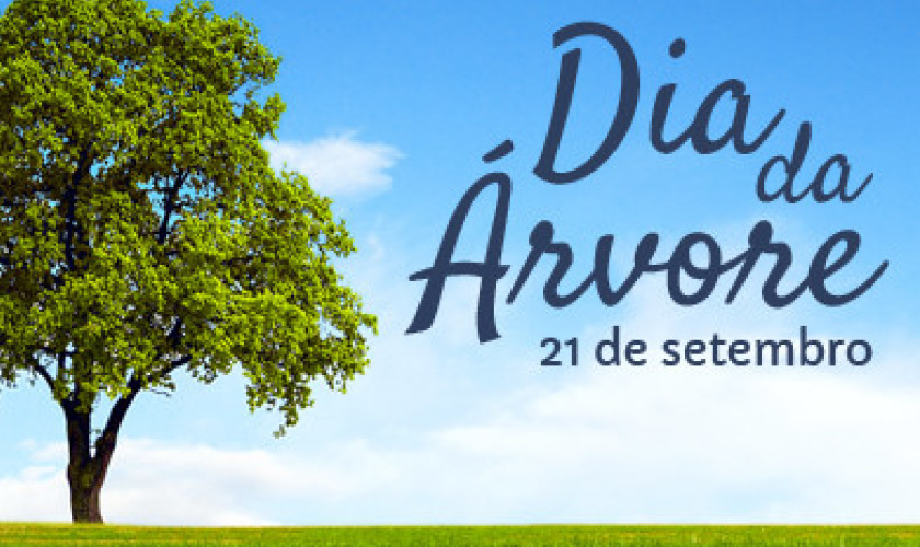 Ações junto às escolas municipais e comunidade marcam o Dia da Árvore em Capitão