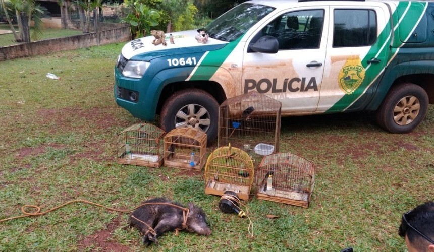 Dezoito pessoas são presas em operação contra crimes ambientais