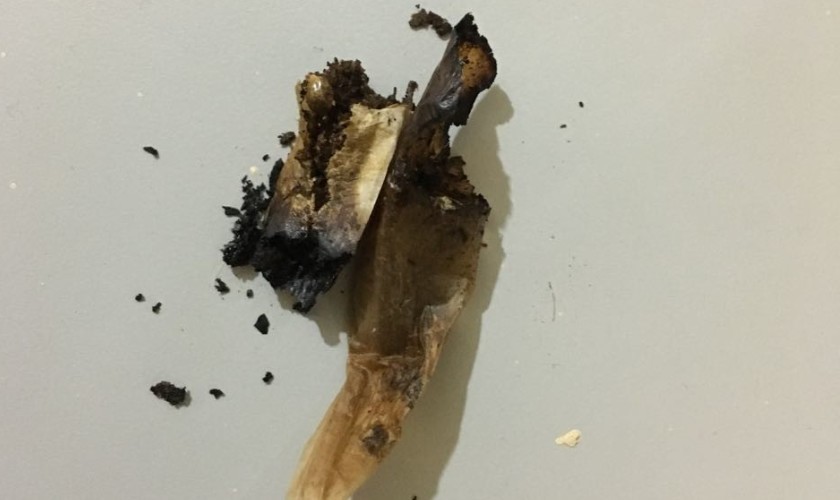 Jovens são flagrados em Capitão com cigarros de maconha