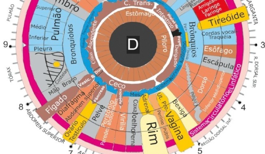 Olhar revelador: iridologia permite fazer um pré-diagnóstico de doenças do corpo e da alma