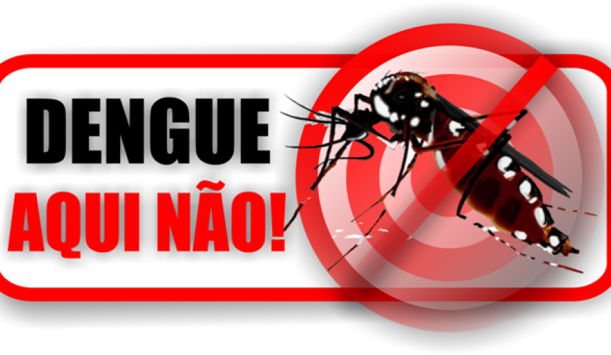 Índice de infestação do Aedes aegypti em Capitão é quase 10 vezes maior que o tolerável e preocupa administração