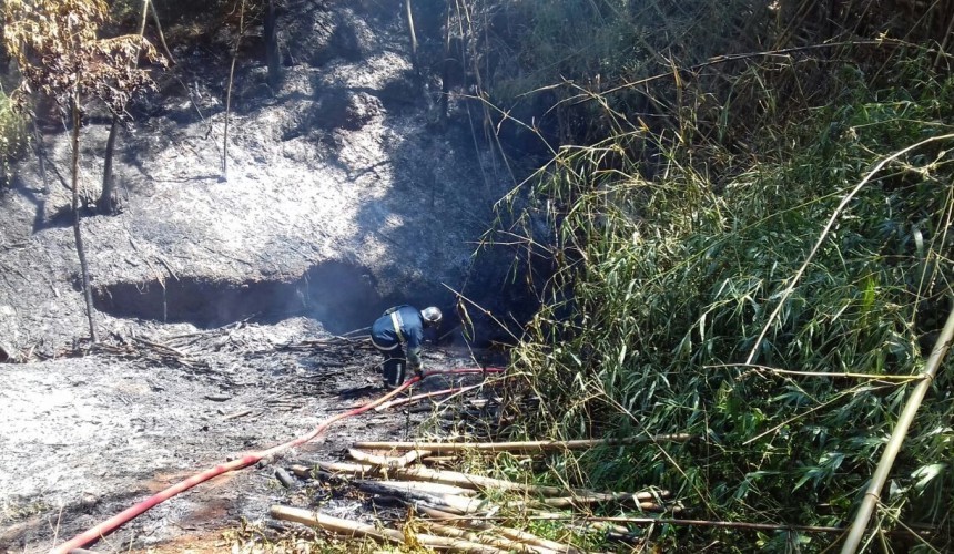 Bombeiros controlam fogo em taquaral em Capitão