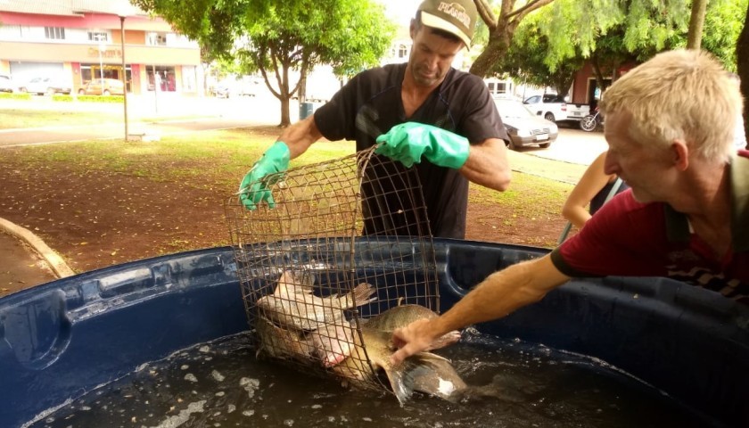 Começou a Feira Do Peixe Vivo de Capitão