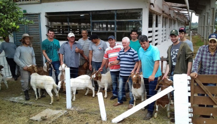 Produtores serão beneficiados com criação de caprinos em Capitão