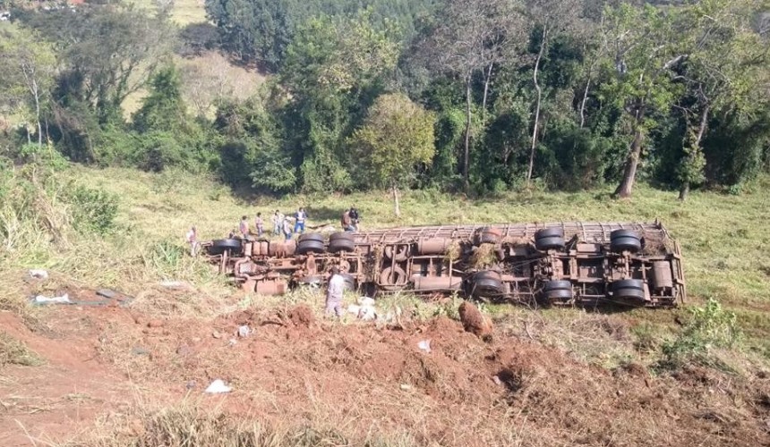 Caminhão carregado de suínos tomba na BR 163
