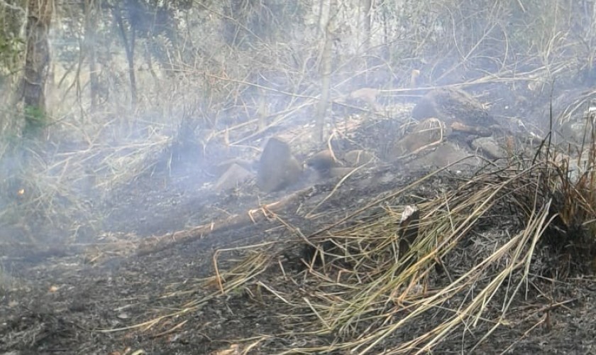 Bombeiros combatem incêndio ambiental na Linha Santo Antônio em Capitão