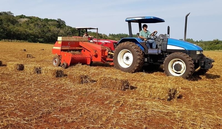 Máquina para produzir feno beneficia pequenos agricultores de Capitão