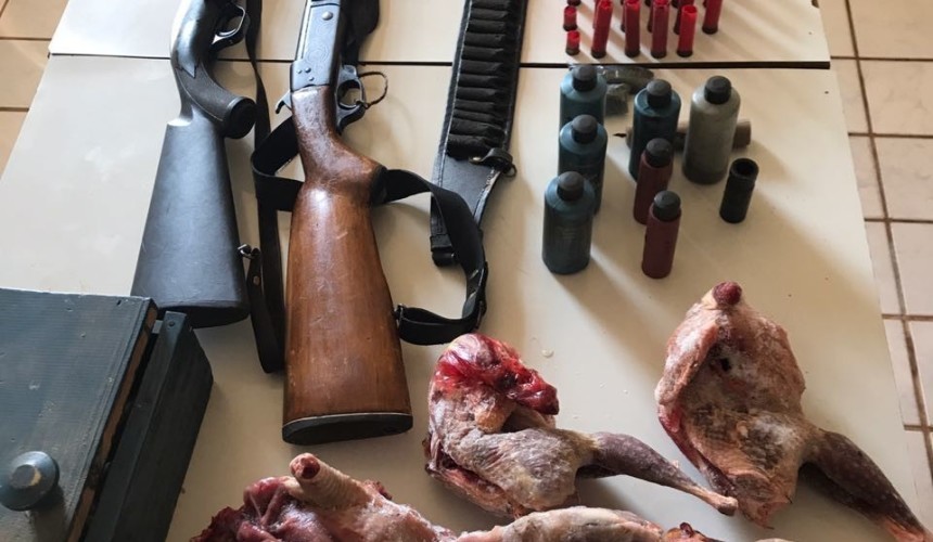 Polícia Militar de Nova Prata apreende espingardas e animais silvestres abatidos