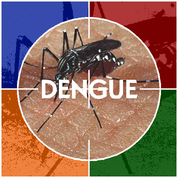 Cidade do Oeste confirma caso de dengue autóctone