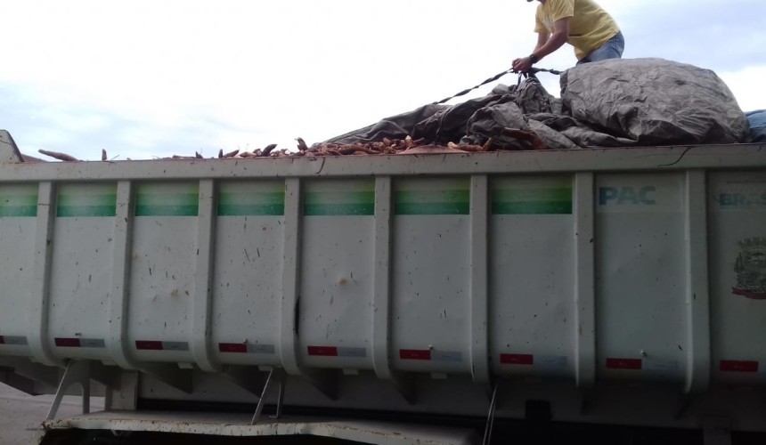 Caminhão da Prefeitura de Lindoeste é flagrado pela PRF transportando mandioca