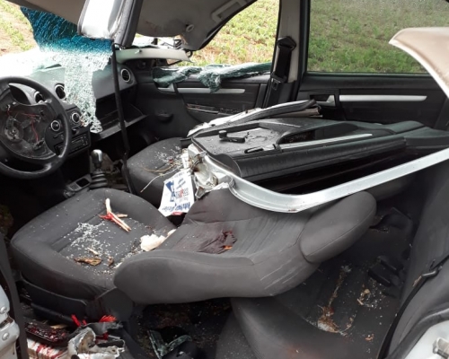 Tragédia: Homem morre após árvore cair sobre veículo