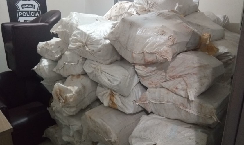 Mais de três toneladas de maconha serão incineradas nesta segunda-feira em Capitão