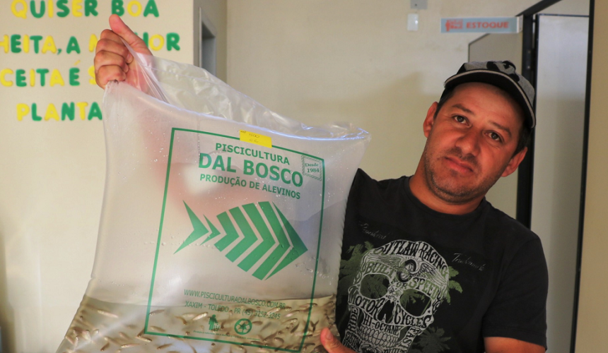 Boa Vista da Aparecida: Departamento de Agricultura entrega mais de 23 mil alevinos