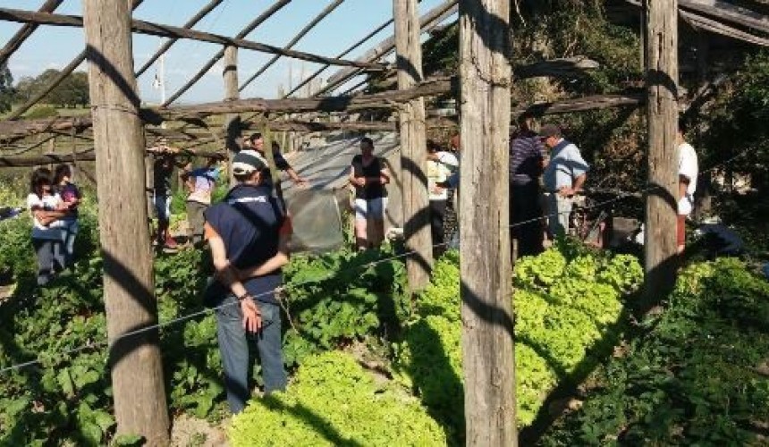 Dia de Campo sobre Horticultura será realizado nesta quarta-feira em Capitão