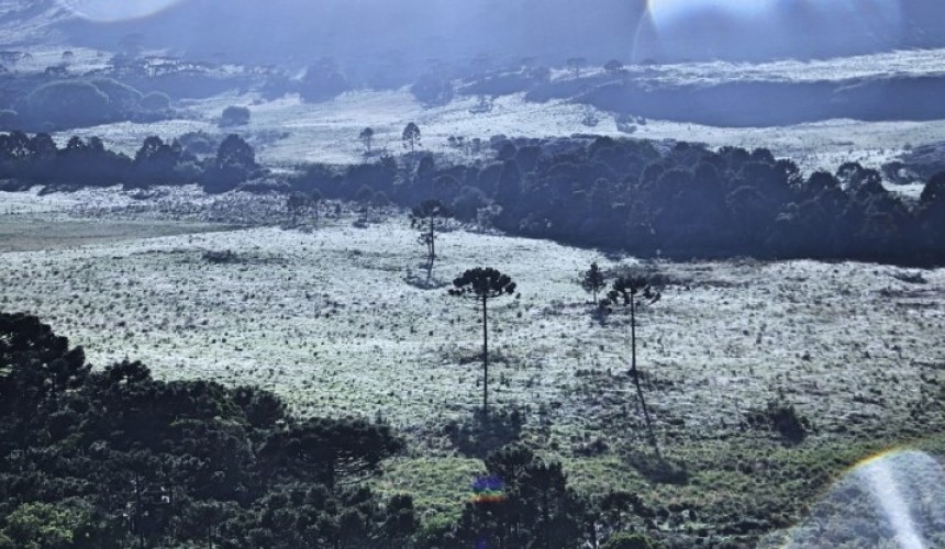 Registro de geada na Serra Catarinense em pleno dezembro
