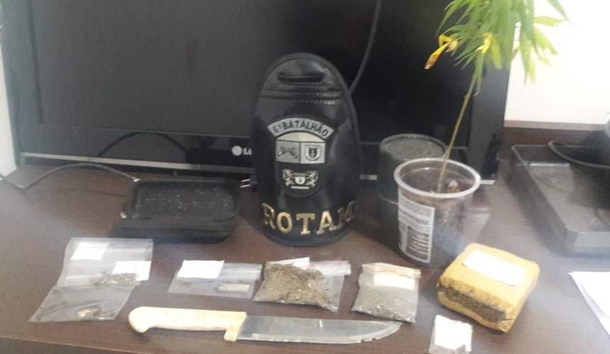 ROTAM encontra pé de maconha e prende duas pessoas em Boa Vista da Aparecida