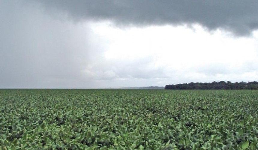 Chuva traz alívio aos produtores de soja de Capitão