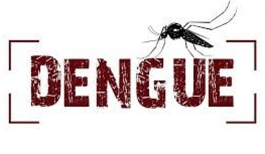 Registrado primeiro caso de dengue do ano em Capitão