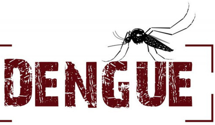 Infestação de dengue deixa o município de Capitão em alerta