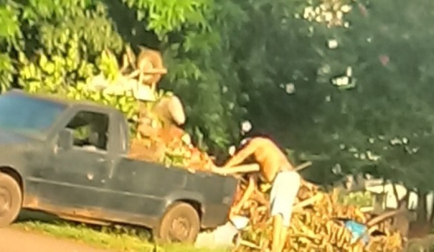 Morador é flagrado jogando lixo em local publico em Capitão