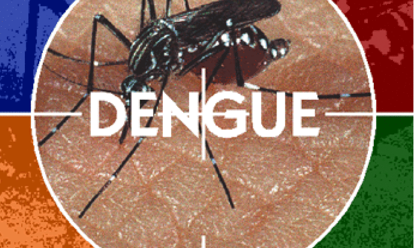 Capitão pode enfrentar nova epidemia de dengue se a população não colaborar
