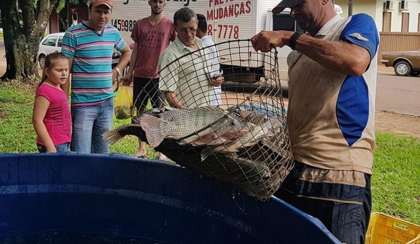 Feira do Peixe Vivo continua neste sábado em Capitão