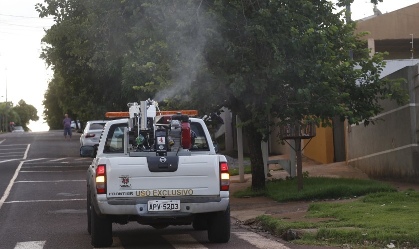 Aumentam os casos de dengue no Paraná