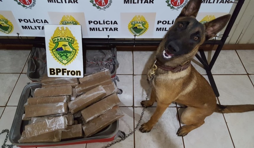 Homem é preso com quase 23 kg de maconha em Realeza