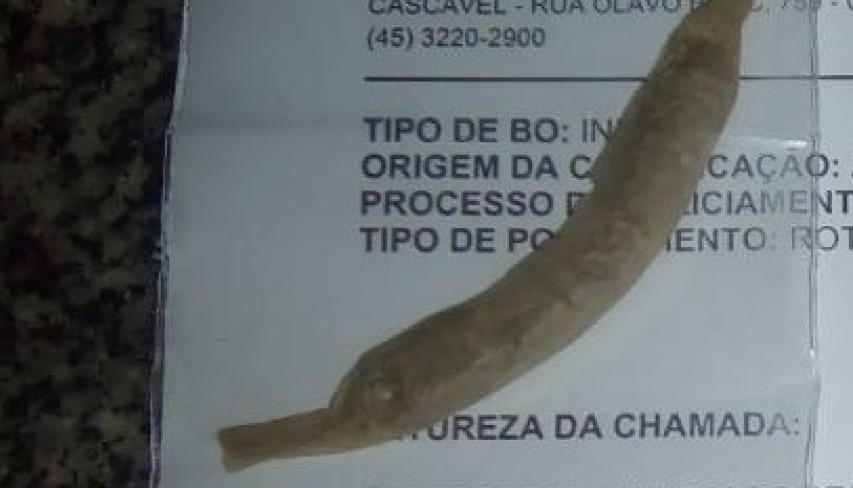 Homem é detido  com cigarro de maconha em Capitão