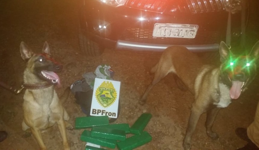 BPFron  apreende quase 9 kg de maconha em ônibus na BR 163 em Capitão